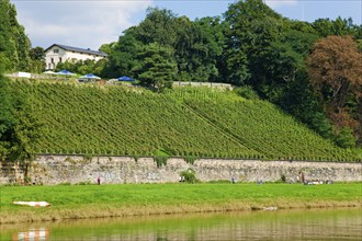 Winery Lutz Müller