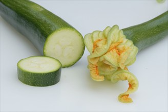 Garden gourds (Cucurbitaceae), landscape, horizontal, indoor, studio, food, foodstuffs