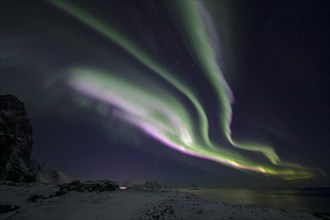 Northern Lights (Aurora borealis) in green and rare pink over the bird cliff of Bleik, Vesterålen,