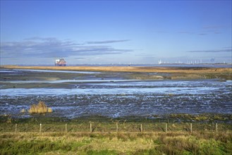 View over salt marsh of the Western Scheldt estuary at nature reserve Prosperpolder, East Flanders,