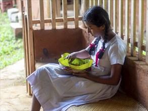 Sinhala schoolgirl eating with fingers, Sri Lanka, Asia