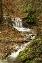 The Hausbachklamm gorge in autumn. The Hausbach with a waterfall and trees in autumn leaves. Long