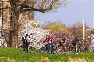 Spring on the Königsufer in Dresden