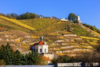 Wackerbarth Castle or Wackerbarths Ruh is a Baroque castle surrounded by vineyards in the