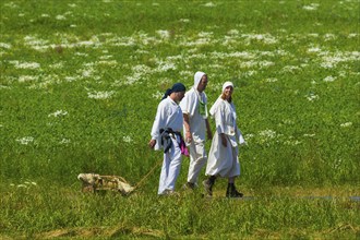 Settlers' train in Central Saxony