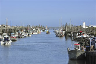 Fishing boats and oyster farming boats in the harbour Port du Bec near Beauvoir-sur-mer, La Vendée,