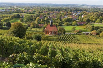 Pillnitz vineyards at the vineyard church