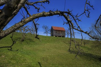 Lohsdorf is located to the east of the Saxon state capital Dresden in the north of Saxon