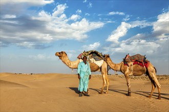 Rajasthan travel background, Indian cameleer (camel driver) with camels in dunes of Thar desert.