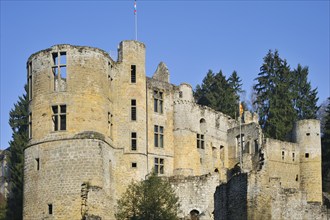 Ruin of the medieval fortress of Beaufort Castle in Little Switzerland, Müllerthal, Grand Duchy of