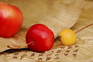 Decorative apples and characters (Malus)