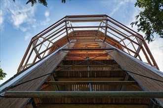 Wooden observation tower, view from below, tree-top walk in the Rügen Natural Heritage Centre,