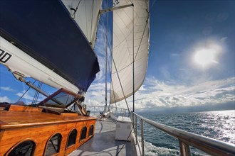 Sailing, sailing ship in the evening sun, backlight, sky, beautiful weather, atmosphere, journey,