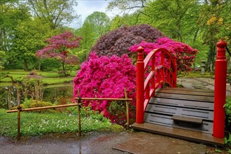 Small bridge in Japanese garden, Park Clingendael, The Hague, Netherlands