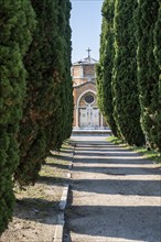 Cypress avenue at the central cemetery of Venice, cemetery island of San Michele, Venice, Italy,