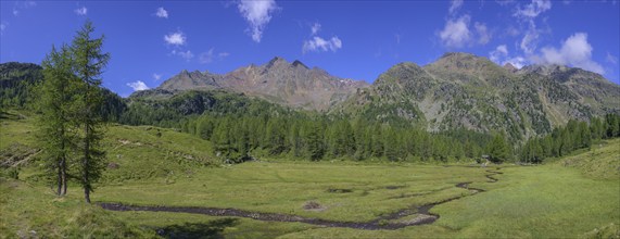 Stream meanders through a meadow, hike Weißbrunnsee to Fiechtalm, Ulten, South Tyrol, Italy, Europe