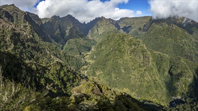 Densely overgrown steep mountains, green mountain landscape, view from the Miradouro dos Balcões,