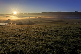 Sunrise over a meadow with fog in front of mountains, backlight, summer, Alpine foothills, Bavaria,