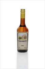 MINSK, BELARUS, March, 6, 2017: Bottle of Victor Fauconnier Calvados, apple French brandy with