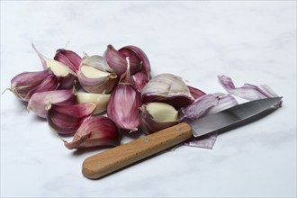 Fresh red garlic cloves with knife, France, Europe