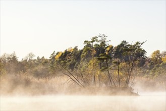 Morning fog at a forest lake with autumn colors on the trees