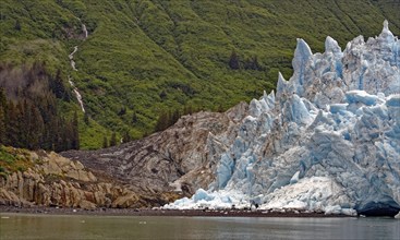 Meares Glacier, detail view, rainforests in the background, Chugach Mountains, Prince William