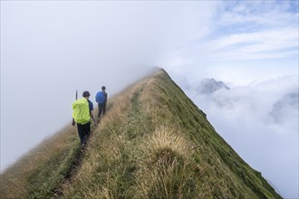 Climbers on a narrow ridge, steep grassy mountains in the fog, ascent to Marwes, Säntis, Appenzell