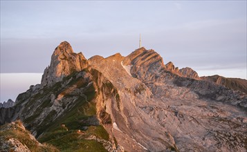 Mountains at sunrise, Säntis, Appenzell Ausserrhoden, Appenzell Alps, Switzerland, Europe