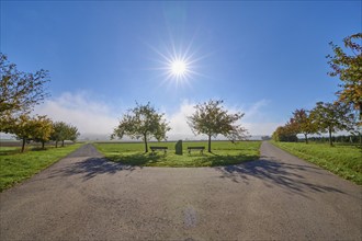 Fork in the road, field landscape, fruit trees, bench, sun, sky, autumn, beeches, Odenwald,