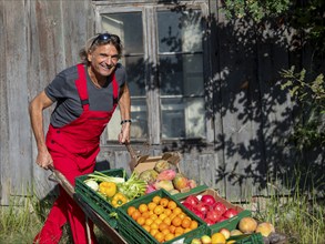 Man with red work trousers pushing wheelbarrow full of different fruits in front of old shed,