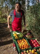 Man in red work trousers pushing wheelbarrow full of different fruits in birch forest, healthy