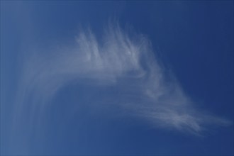 Tattered clouds, cirrus clouds, Flusslandschaft Peenetal nature park Park, Mecklenburg-Western