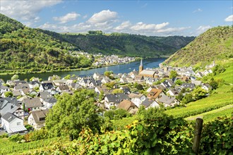 View over city of Alken, valley Moselle with river Moselle, Rhineland Palatinate, Germany, Europe