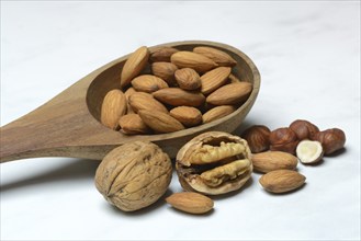 Wooden ladle with various nuts