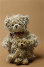 Two teddy bears, sitting, in front of a brown background, teddy