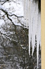 Wintertime, ice, Germany, Europe