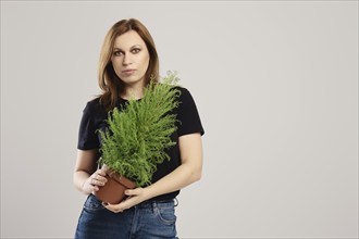 Botanist holds small decorative (thuja) in hand over grey background