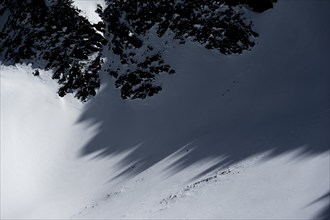 Shade and snow, winter, Sellraintal, Stubai Alps, Kühtai, Tyrol, Austria, Europe