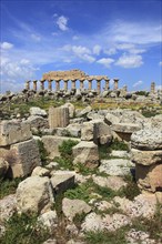 Selinunte, remains of the temples of the acropolis in the archaeological site of Selinunte, Trapani