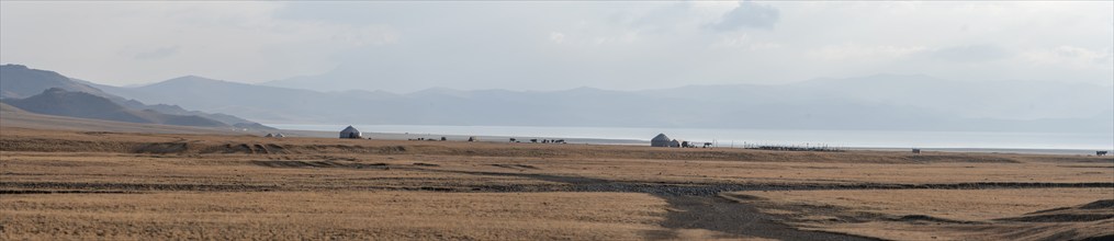 Traditional yurts at Songköl Lake on a plateau, mountains in the background, Kyrgyzstan, Asia