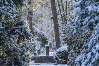 Fountain and rhododendrons in the snow, south-west churchyard, historic cemetery in Stahnsdorf,