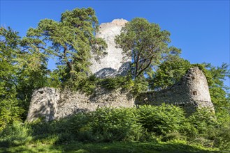 The Altbodman castle ruins on the Bodanrück, Bodman-Ludwigshafen, Constance district,