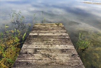 Old wooden footbridge, Gräser am Peenestrom, Karlshagen, Usedom Island, Germany, Europe