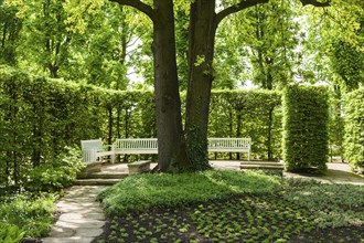 Pillnitz Palace Park in spring