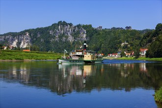 Elbe steamer Pillnitz in Rathen