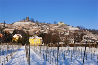 Spitzhaus in Radebeul