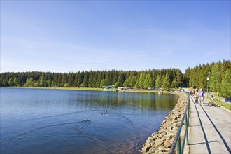 The Greifenbachstauweiher (also known as Dammteich or Geyerscher Teich) is located between Geyer