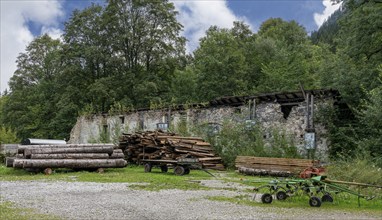 Logs stored on the grounds of the horticultural office, Schwangau, Bavaria, Germany, Europe