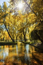 Autumn colors, fall in park with yellow leaves foliage trees reflecting in river water