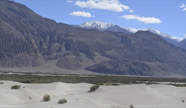 Nubra Valley Khardung La